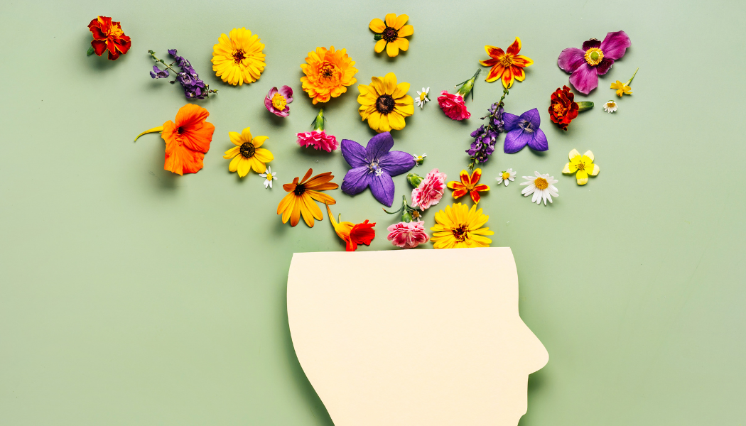 Why Mitochondrial Health Is the Key to Energy, Aging, and Disease Prevention