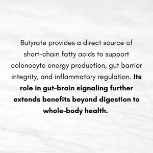 Butyrate Gut Vitality