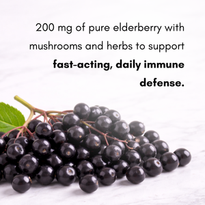 Pure elderberries with text about immune support on a white background