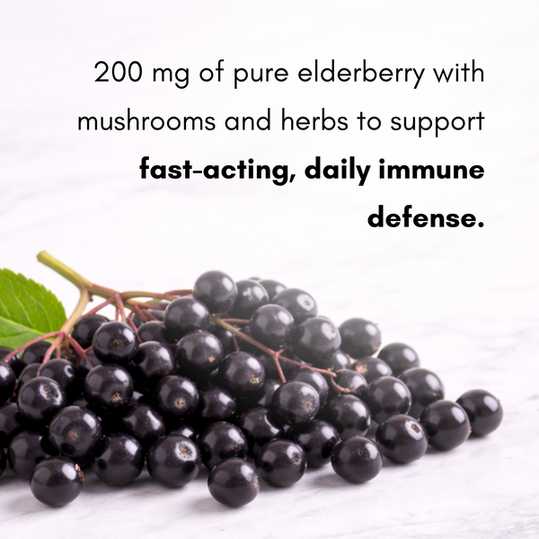 Pure elderberries with text about immune support on a white background