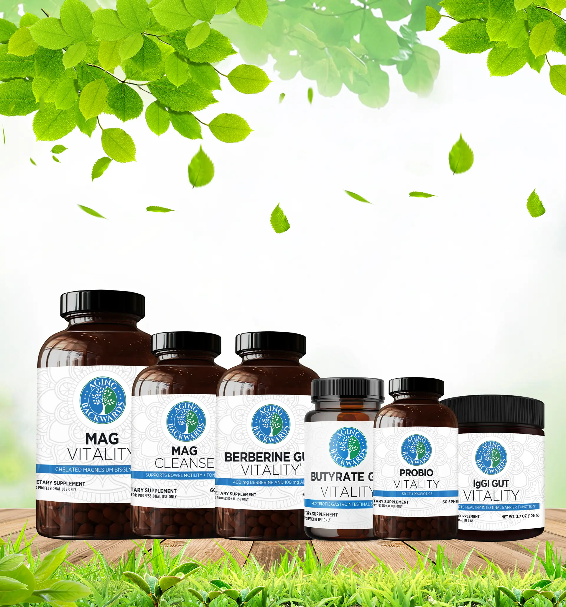 Gut Vitality Package