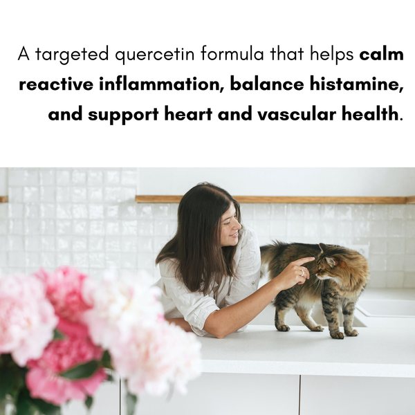 Woman petting a cat on a kitchen counter with text about quercetin benefits.